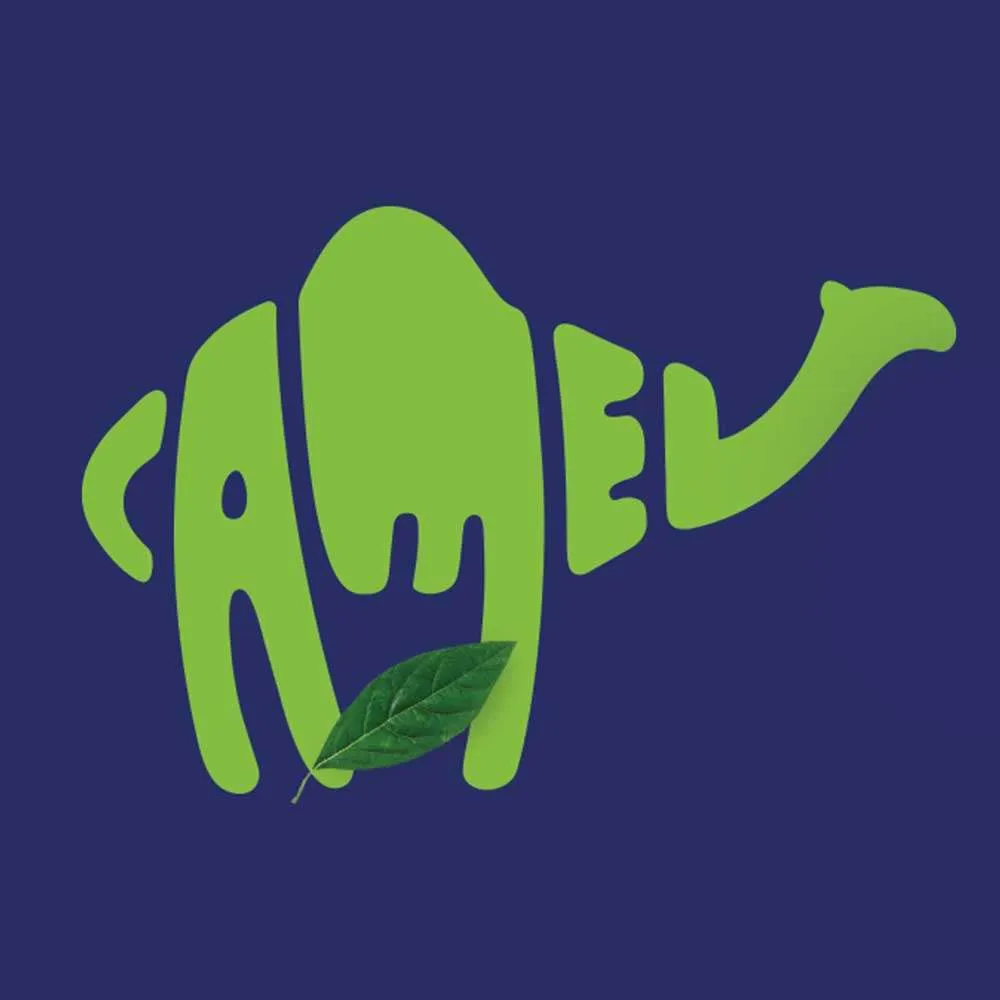 Green Camel | Branding